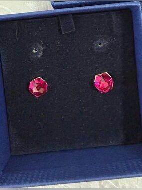Authentic Swarovski Nuts Stud Earrings, Fuchsia, 1076304. VERY RARE. BNIB.